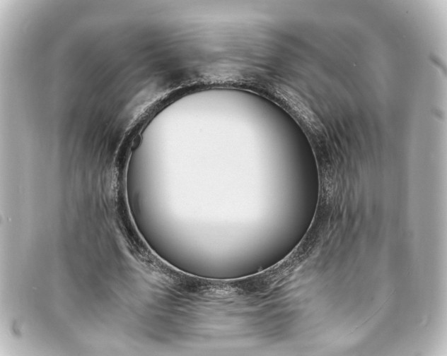 X0000094360583200711021511