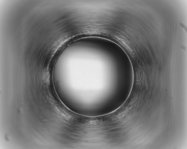 X0000094360584200711021511