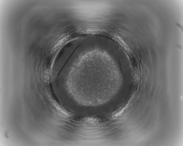 X0000094360585200711021511