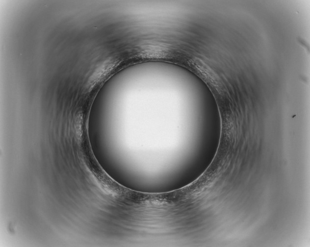 X0000094360586200711021511