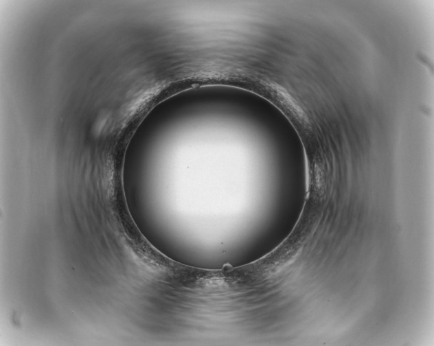 X0000094360588200711021511