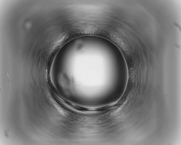 X0000094360589200711021511