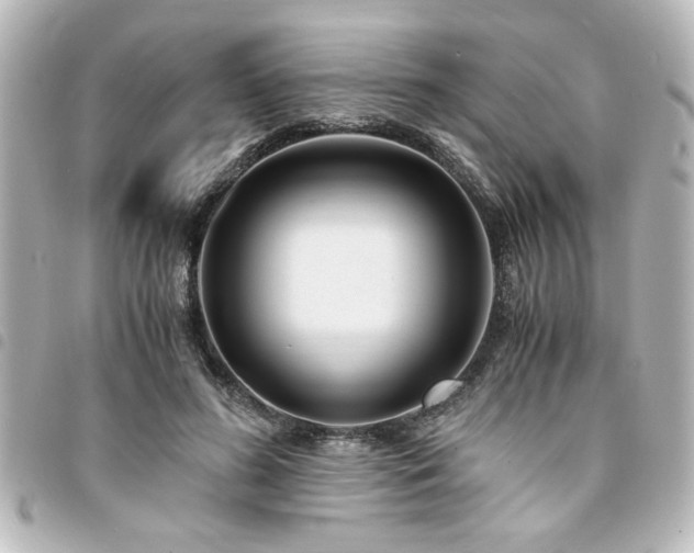 X0000094360596200711021511