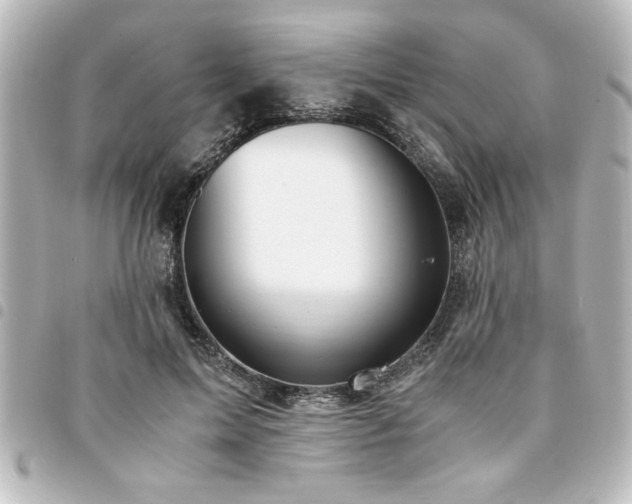 X0000094360599200711021511