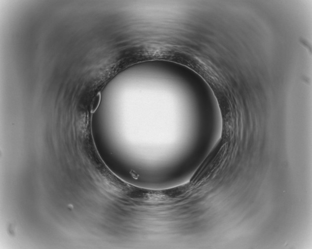X0000094360605200711021511