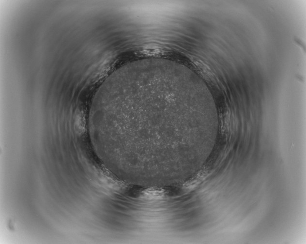 X0000094360606200711021511