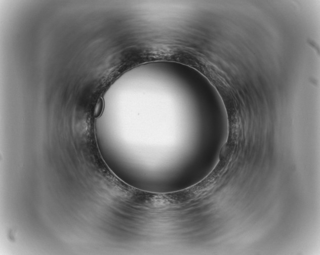 X0000094360608200711021511