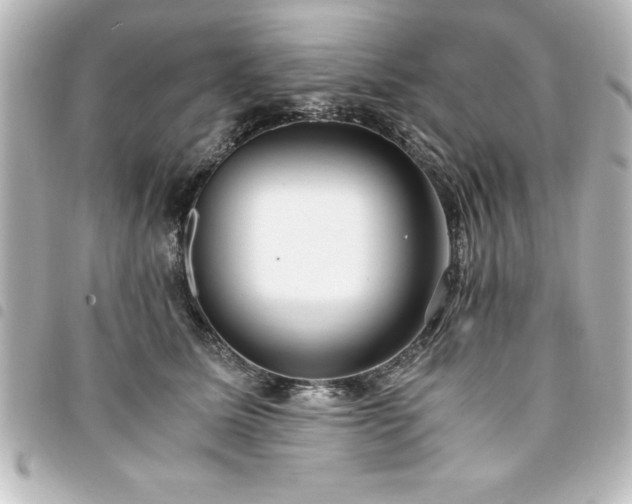 X0000094360611200711021511