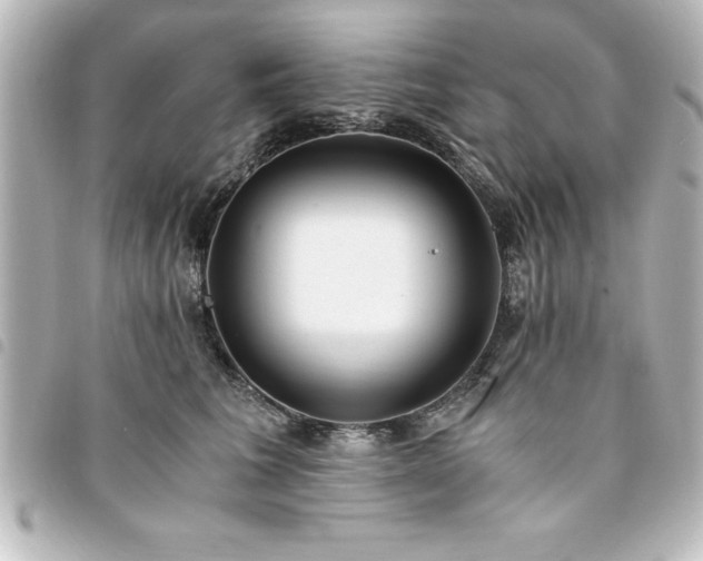X0000094360613200711021511