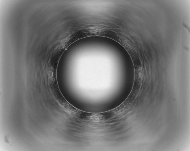 X0000094360615200711021511