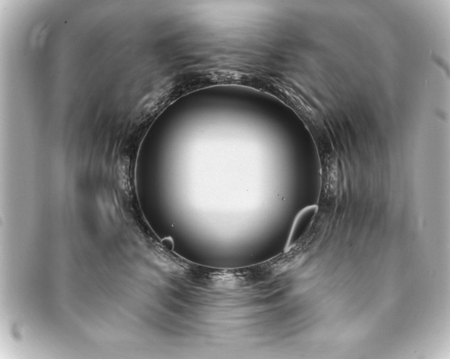 X0000094360616200711021511