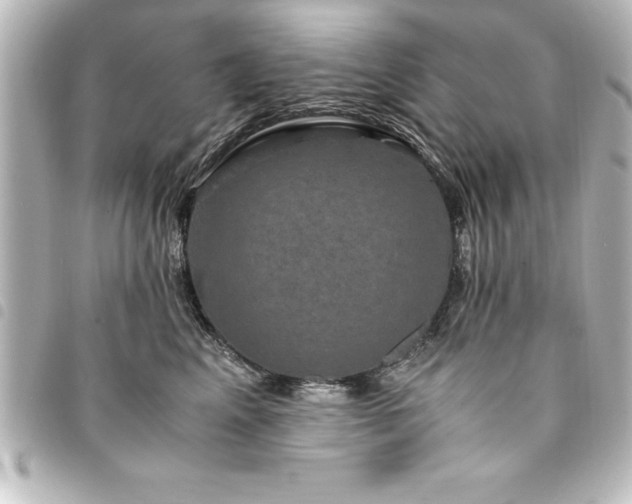 X0000094360617200711021511