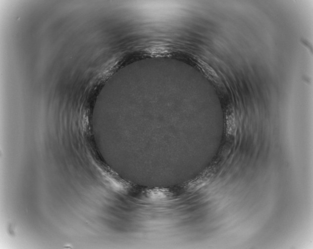 X0000094360618200711021511