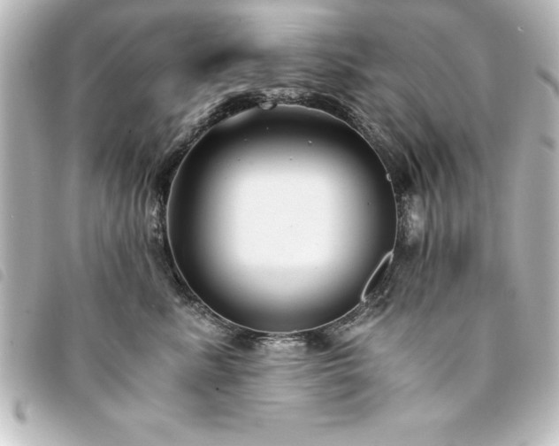 X0000094360619200711021511