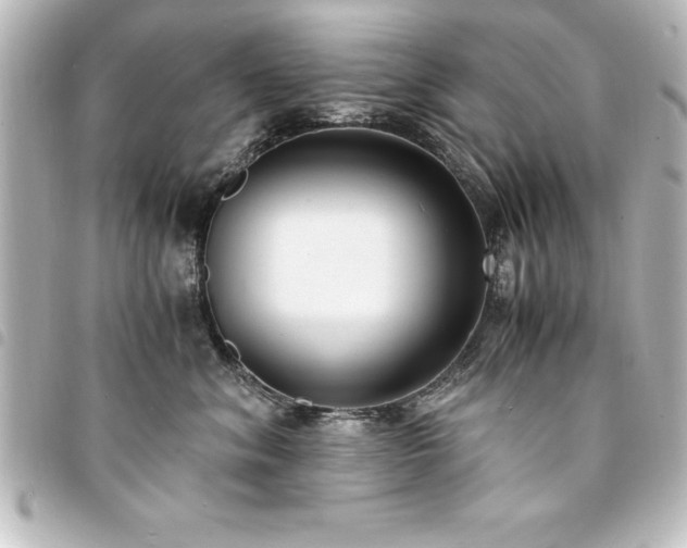 X0000094360620200711021511