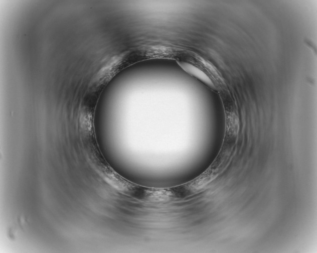 X0000094360621200711021511