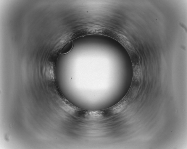 X0000094360622200711021511