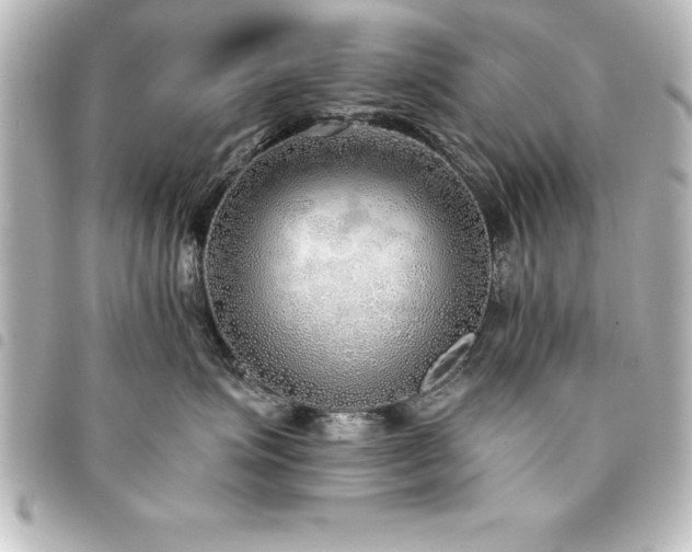 X0000094360623200711021511