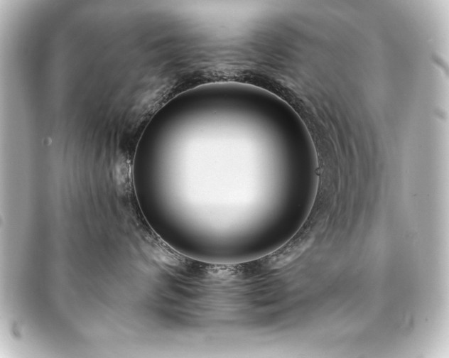 X0000094360624200711021511