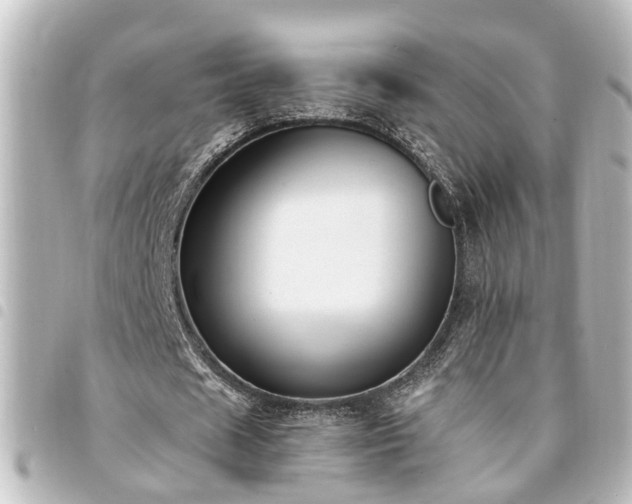 X0000094360625200711021510
