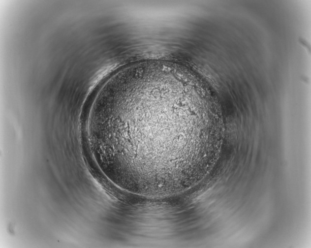 X0000094360626200711021510