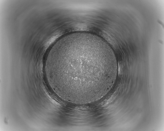 X0000094360627200711021510