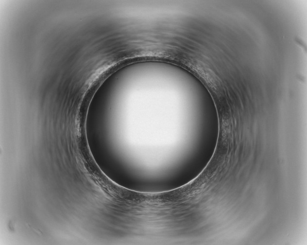 X0000094360628200711021510