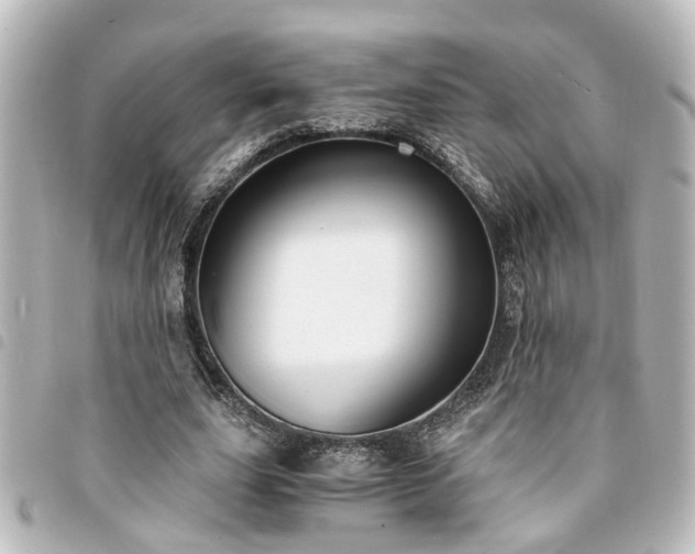 X0000094360631200711021510