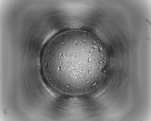 X0000094360634200711021510