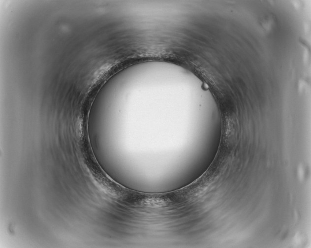 X0000094360636200711021510