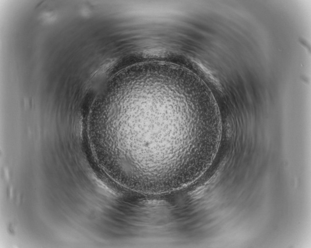 X0000094360637200711021510