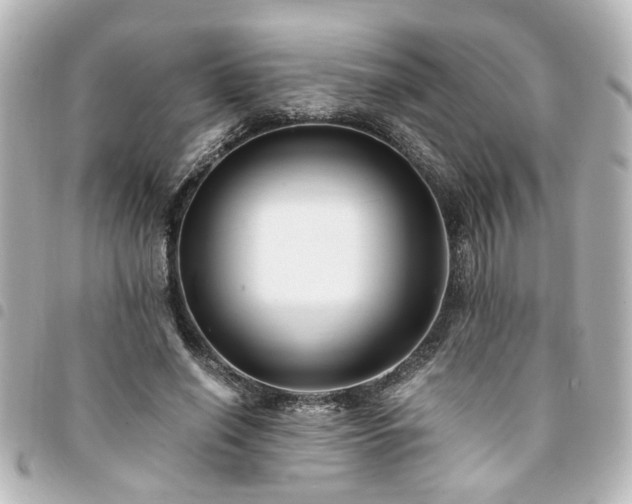 X0000094360638200711021510