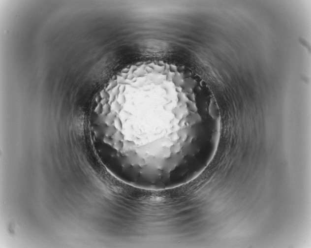 X0000094360647200711021510