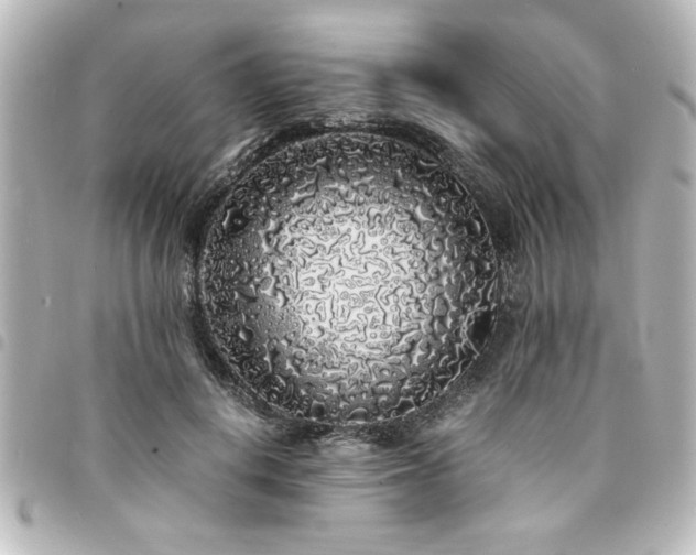 X0000094360648200711021510