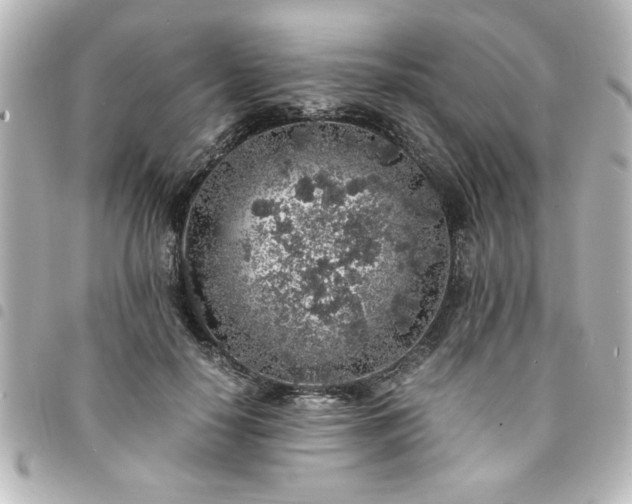 X0000094360650200711021510