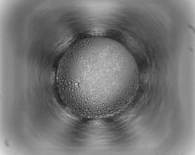 X0000094360652200711021510