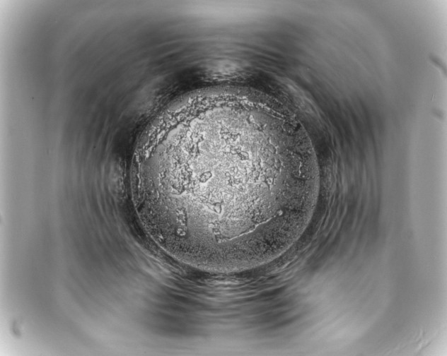 X0000094360653200711021510
