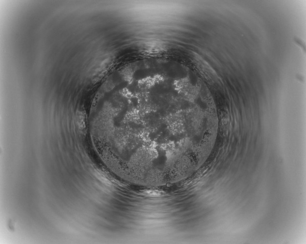 X0000094360654200711021510