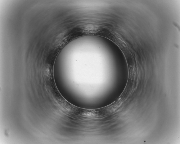 X0000094360655200711021510