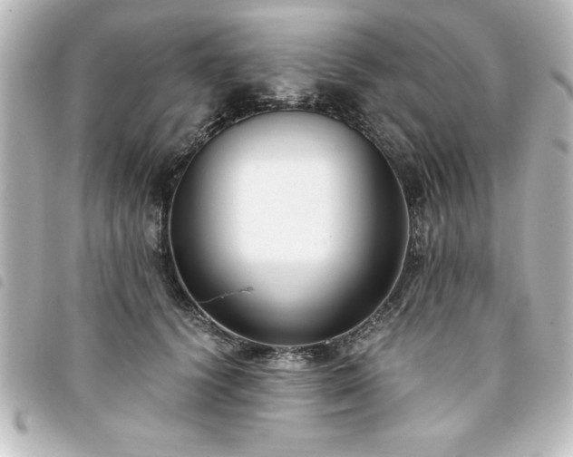 X0000094360656200711021510