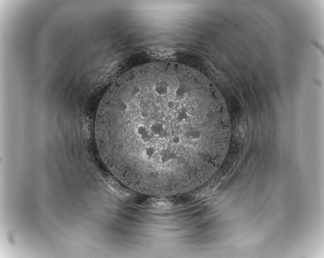 X0000094360658200711021511