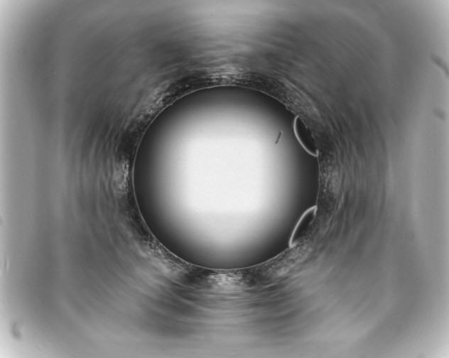 X0000094360660200711021511