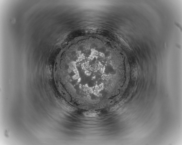 X0000094360661200711021511