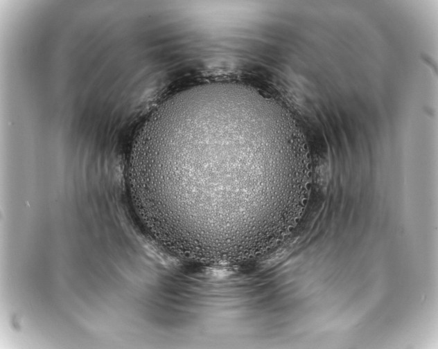 X0000094360662200711021511