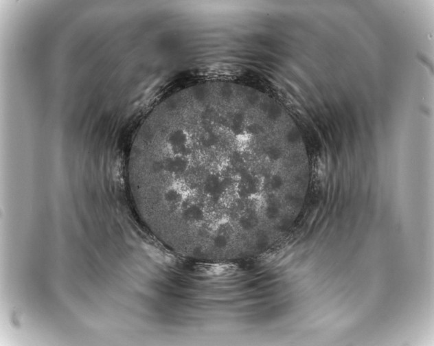 X0000094360663200711021511
