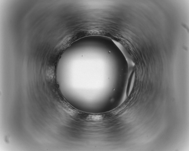 X0000094360665200711021511