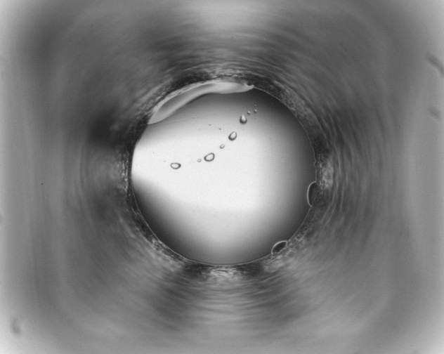 X0000094360666200711021511