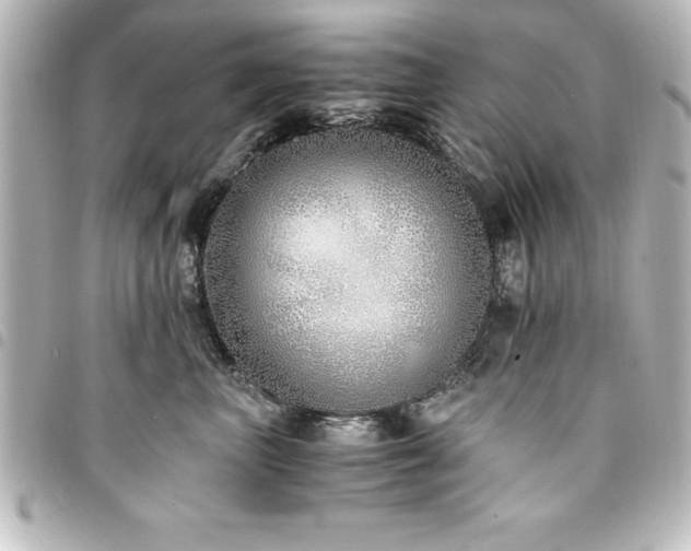 X0000094360667200711021511
