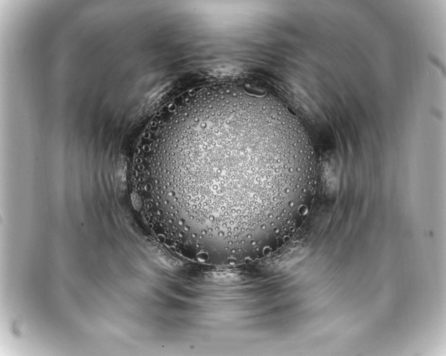 X0000094360668200711021511