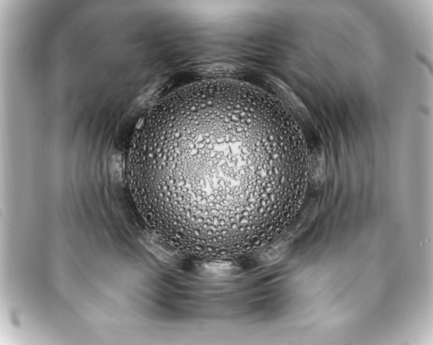 X0000094360669200711021511
